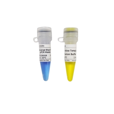 ترکیب اصلی 2× آبی جهانی GSK سبز QPCR با بافر رقیق سازی قالب زرد 40×