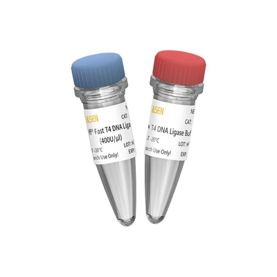 ساخت کتابخانه NGS Fast T4 DNA Ligase 400 U/UL فقط برای استفاده تحقیقاتی