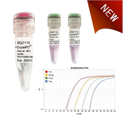 واکنش بیوشیمیایی No Rox QPCR Mix 1000 X 20ul Reactions Accuris QMax Green