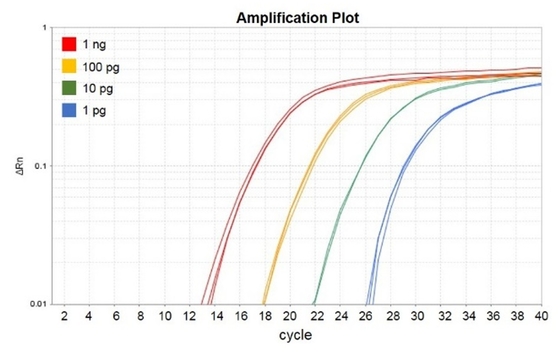 واکنش بیوشیمیایی No Rox QPCR Mix 1000 X 20ul Reactions Accuris QMax Green