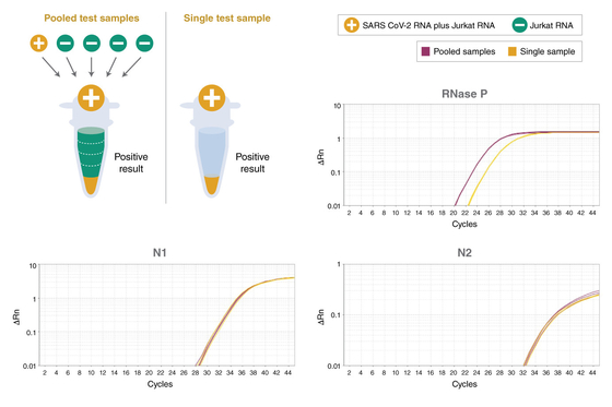 یونیورسال TaqMan Multiplex QPCR Master Mix Biochemical Reagent