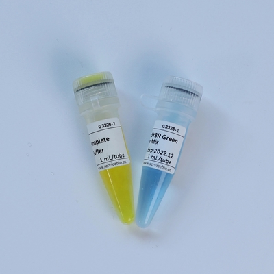یونیورسال TaqMan Multiplex QPCR Master Mix Biochemical Reagent