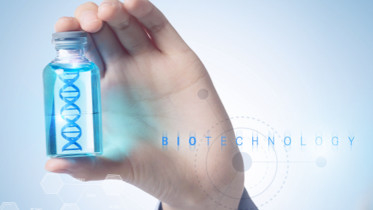تحقیق از معرف بیوشیمیایی Quick T4 DNA Ligase 400 U/UL استفاده کنید