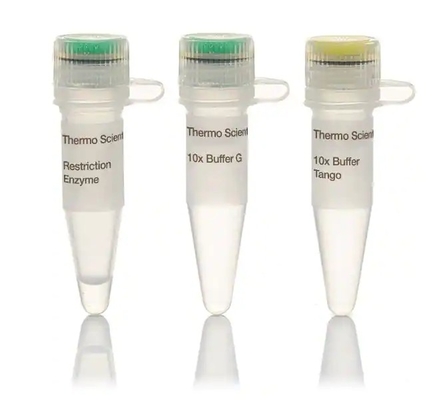 هضم سریع DNA 5-15 دقیقه آنزیم BsaI بیوشیمیایی معرف CE تایید شده