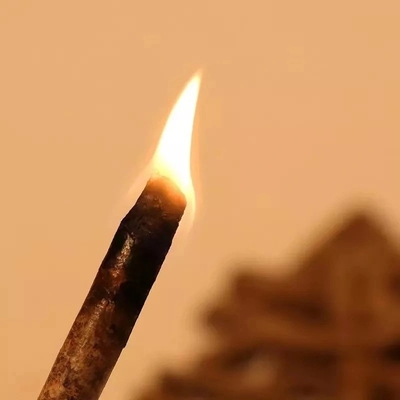سیستم گرمایش سوخت زیست توده چوب گلوله صرفه جویی در انرژی حرفه ای